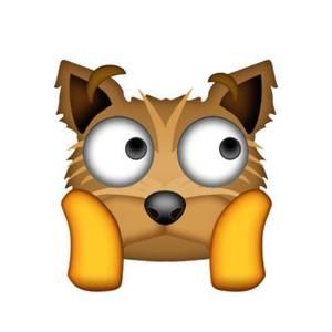 Meet your Posher, Henry alejandro